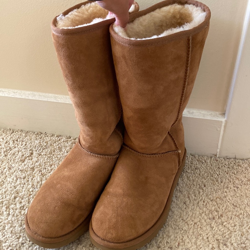 Tall chestnut Uggs size 7